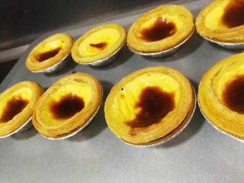 蛋挞派对全新爆料视频,精彩瞬间抢先看！